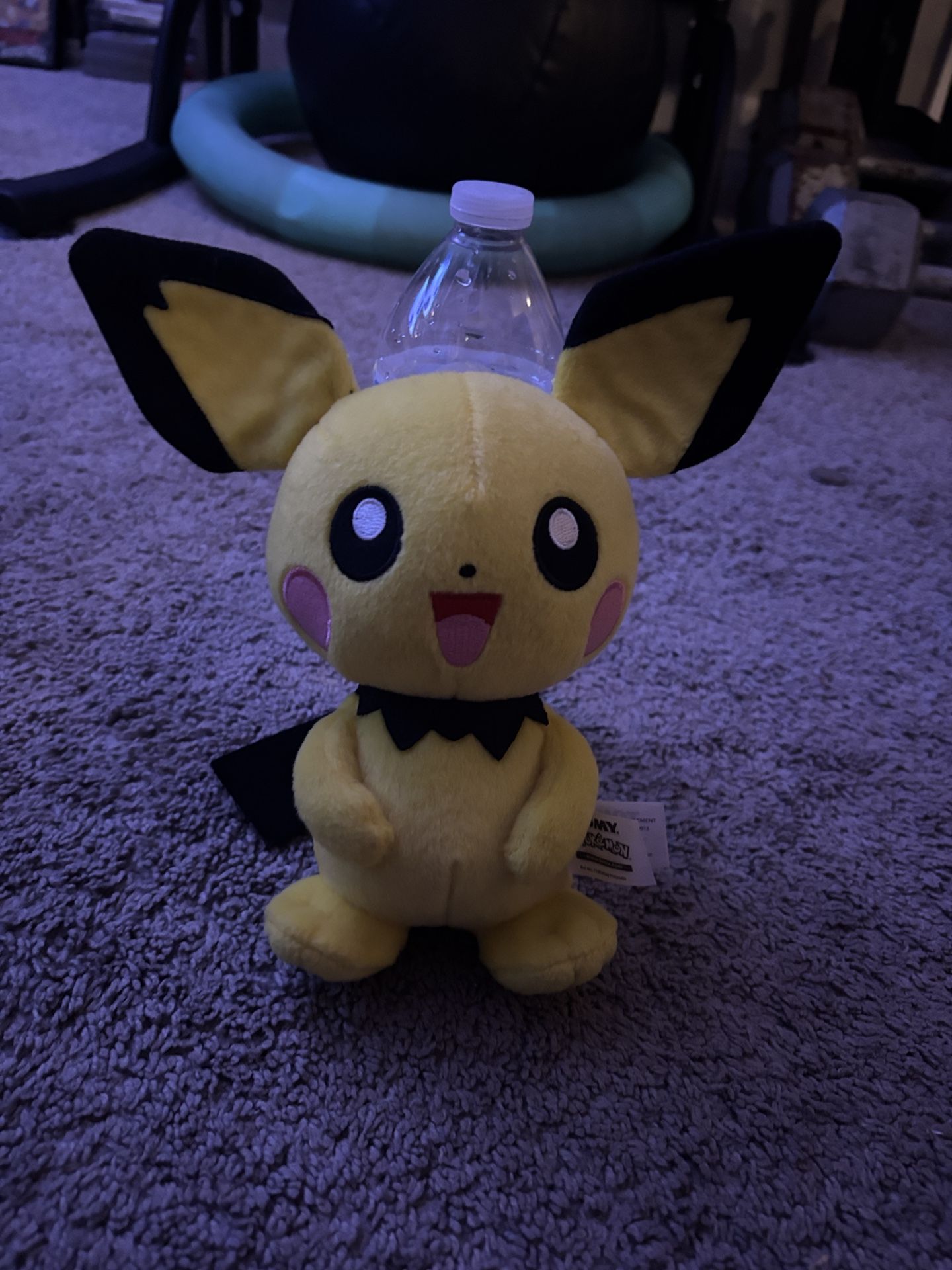 Pikachu Plushie