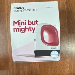 Mini Cricuit Iron