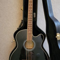 Ibanez AEB5E Acoustic Electric Bass Guitar with Case