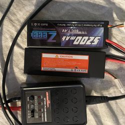 Performance Lithium Polymer Batteries And Charger 