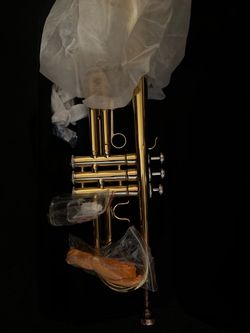 Trumpet