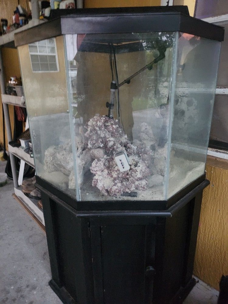 70 Gallon fish Tank 