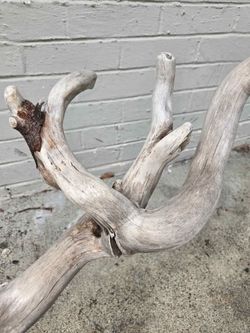 Driftwood 29x12x20