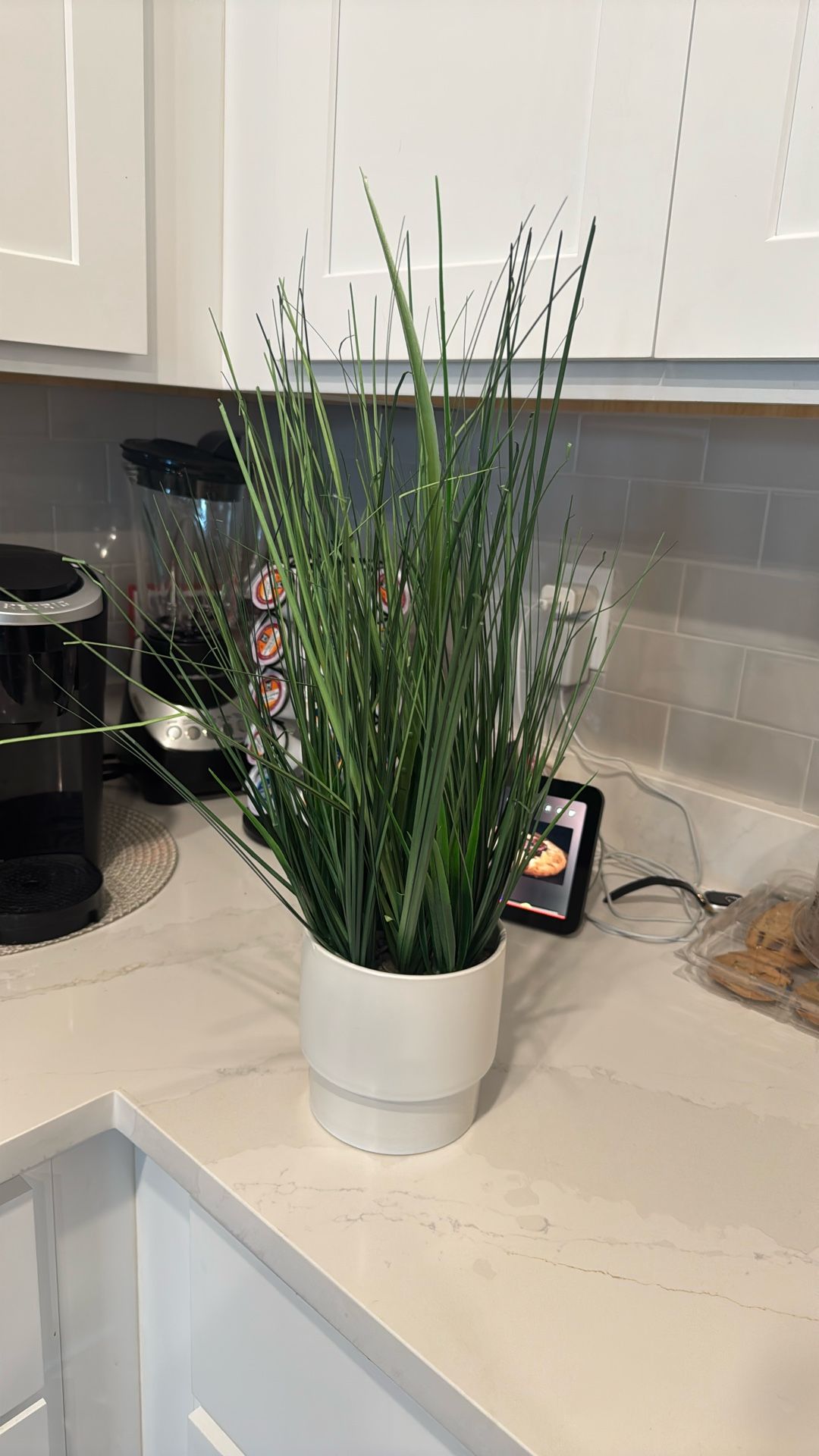 Fake Plant