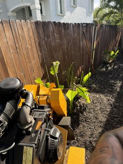🌳Stump Grinder Rayco 2024 🪵