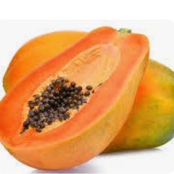 papaya plant