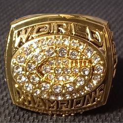 Green Bay Packers Brett Favre Champion Ring 1996 Super Bowl New Detailed 
