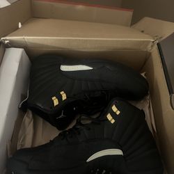 Air Jordan 12 Retro 