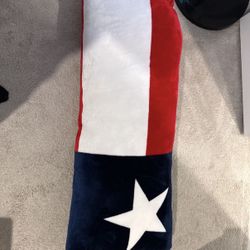 Texas Flag Pillow