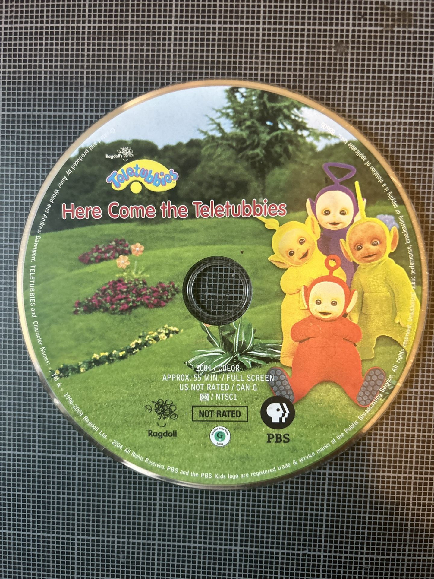 Teletubbies DVD