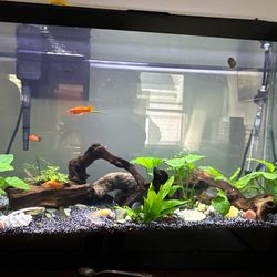 29 Gallon Fish Tank w/ LED light