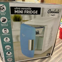 Cooluli mini fridge
