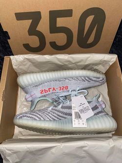 Yeezy Zebra/bluetint.