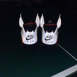 Jordan 6 Reflections of A Champion Size 10.5