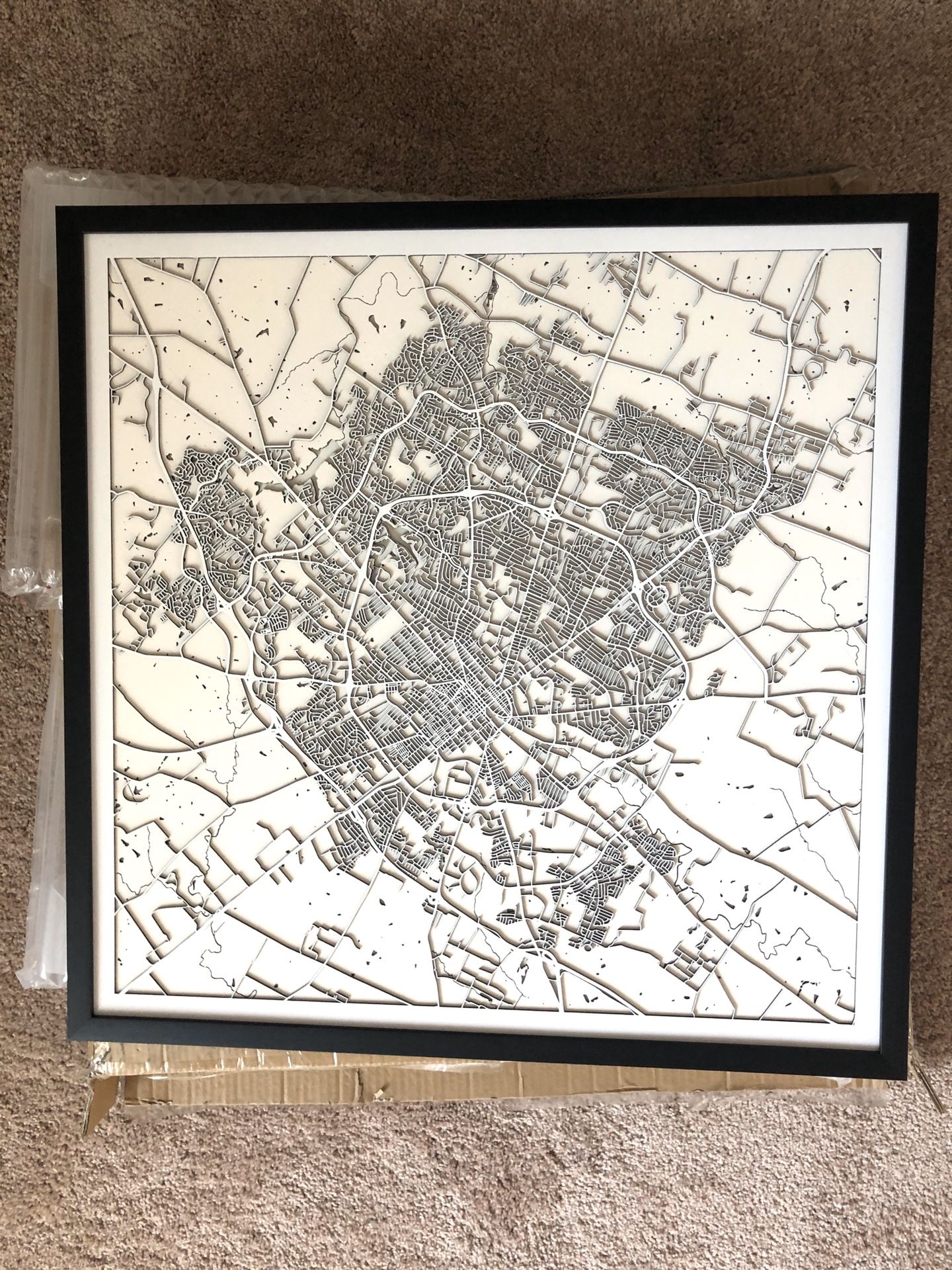 3D Lexington Map Painting