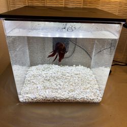 Aquarium