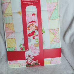 Strawberry Shortcake laptop case