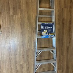 Ladder 8 ft 