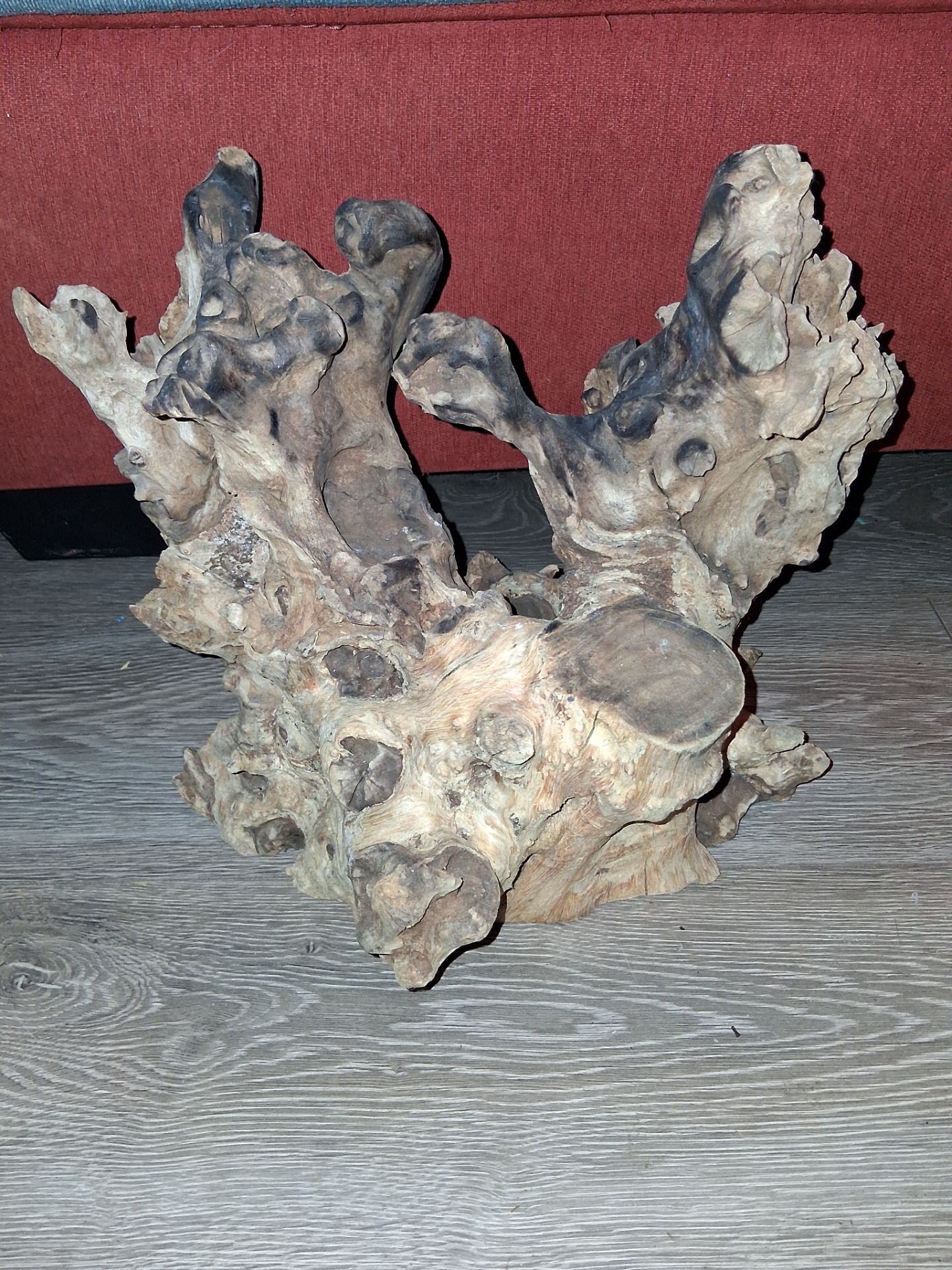 Fishtank driftwood