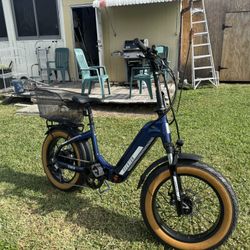 Flat Tire, Electric Bike