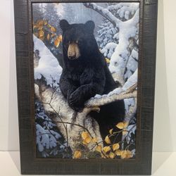 BLACK BEAR PRINT