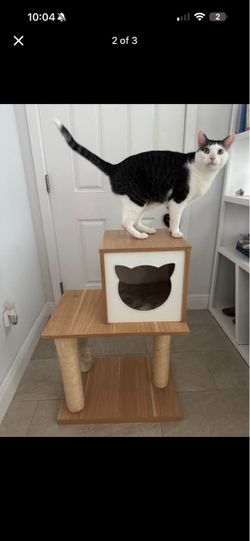 small cat tower
