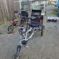 Electric Trike Cycle 