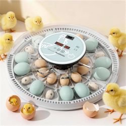 Egg Incubator 30ct Wholesale only