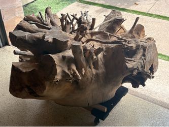 Walnut root ball, good for side table or office desk. Already trimmed and sealed and balanced ￼