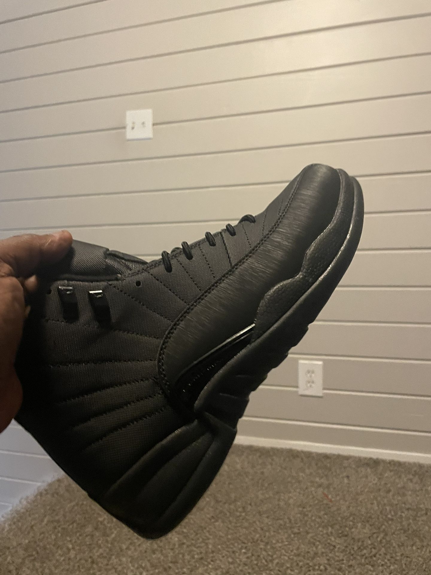 Air Jordan 12 Black Cat All Black