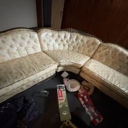 Antique Sofa Never Out Of Plastic 