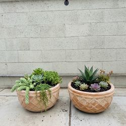 Pair of Lattice Pattern Terracotta Planters