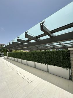 Planters For Privacy