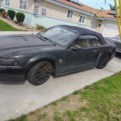 1999 Ford Mustang