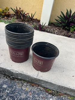 Ten 3 Gallon Pots