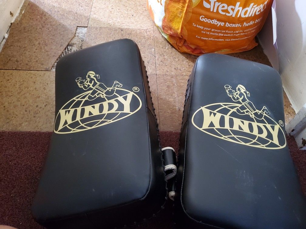WINDY muay thai pads