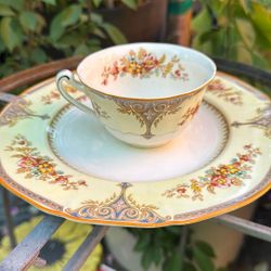 Plants  Antique Alfred Meakin England Henley Pattern Luncheon Plates Set