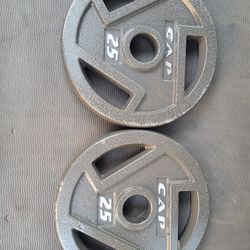 25lbs Olympic Weights