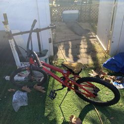 Bikes 