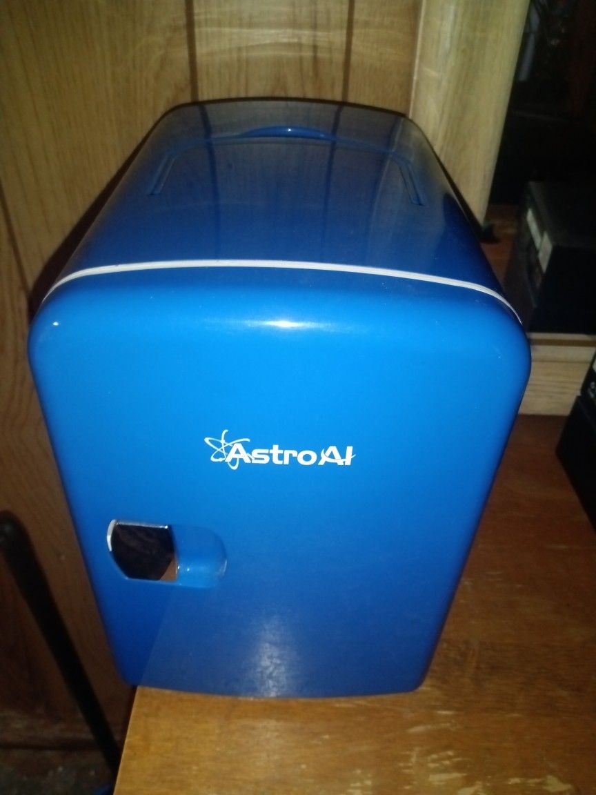 Tiny Mini Fridge/Cooler