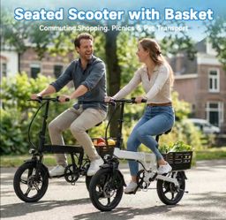 Electric biclycle