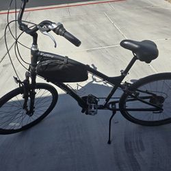 Electra Townie 24 Bicycle 