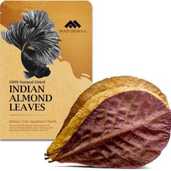 Indian Almond Leaves And Snowflake Shrimp Food