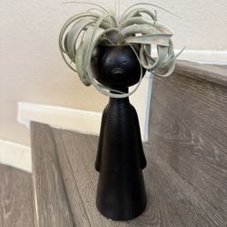 Live Tilandsai Air Plant With Ceramic Lady Pot (Please Read Full Description)