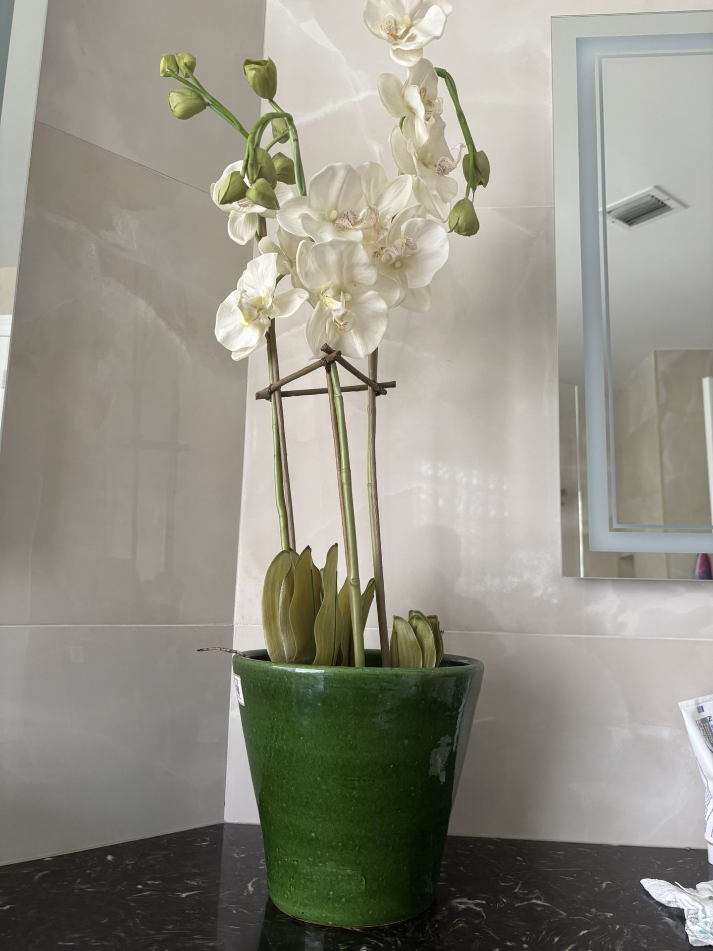 Elegant Tall 36” White Orchid Plant in Green Pot