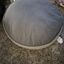 Big dog bed