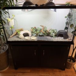 Complete Reptile Habitat Setup - Large Tank + Stand + All Accessories (Burien)