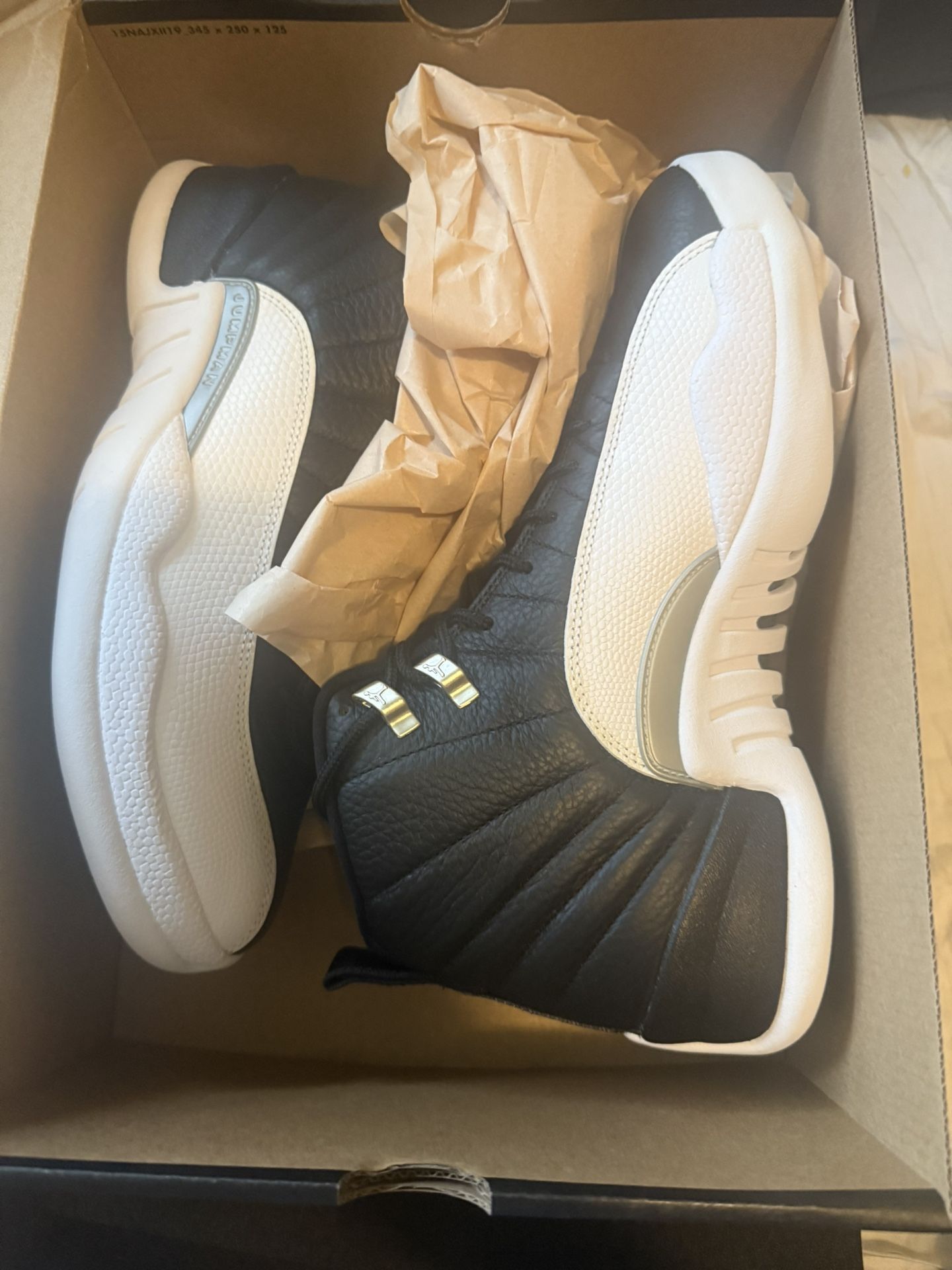 Size 10 Brand New Jordan 12’s