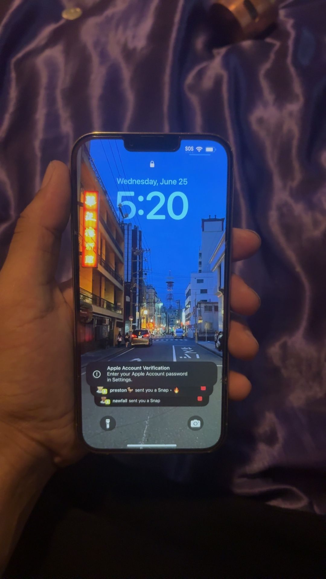 iPhone 13 Pro Max