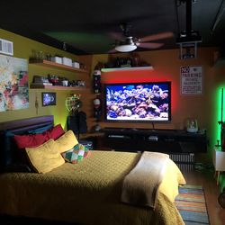 60” LCD Sony Bravia